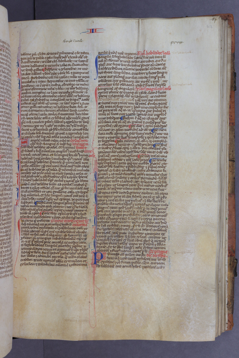 Folio 63 recto